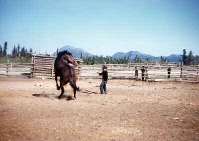 Breaking horse 1960’s