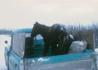 No trailer