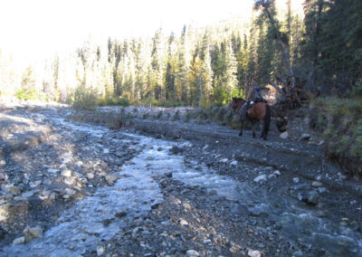 Creekside