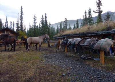 Morning saddle up