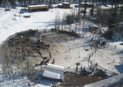 Corrals