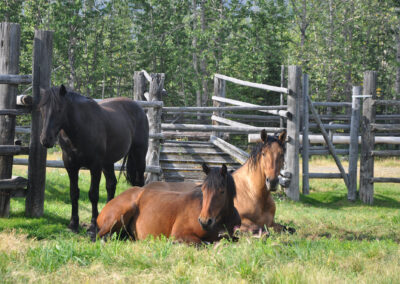 Curious 2yr olds