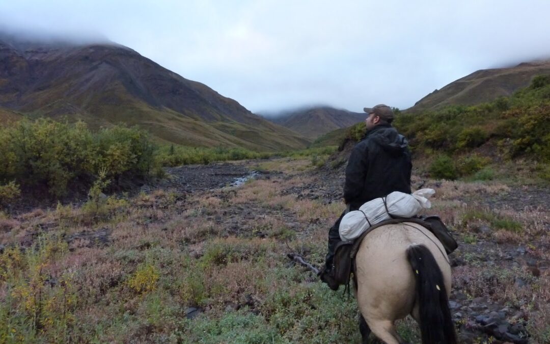 On the trail