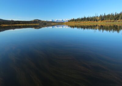 Pristine